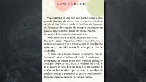 Читаем на итальянском языке. A cena con il gatto. Урок №1.
