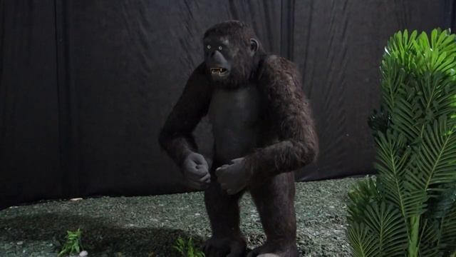 Дино Парк "Рекс", Ростов-на-Дону (ТРК "МегаМаг") смотреть онлайн