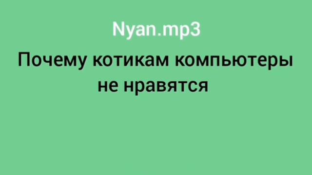 Почему котикам компьютеры не нравятся - nyan.mp3. Speed Up. @nyan.mp3 смотреть онлайн