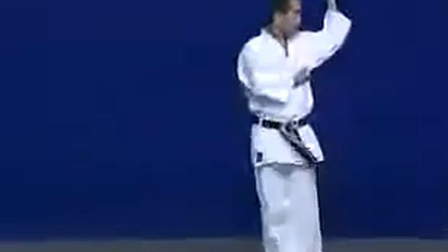 ВАДО - РЮ - КАТА ---- Wado Ryu Karate kata jion смотреть онлайн