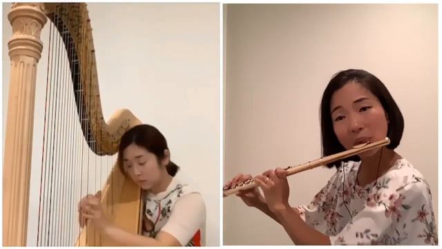 Bach: Siciliano from Sonata BWV 1031 (Quarantine Clip: Covid19 Social Distancing Music) смотреть онлайн