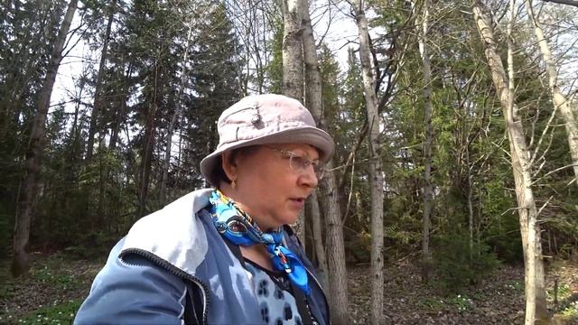 В пермские леса 7 мая 2021 смотреть онлайн