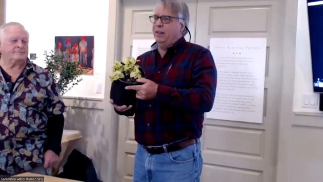 Perennial Plants for Dry Shade смотреть онлайн