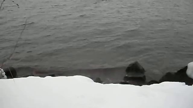 Latvian Nordic Russians in Stockholm - 2 смотреть онлайн