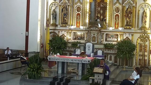 Eucaristía Domingo 18 de Febrero de 2024 - 7:30 a.m Basílica Señor de los Milagros de Buga смотреть онлайн