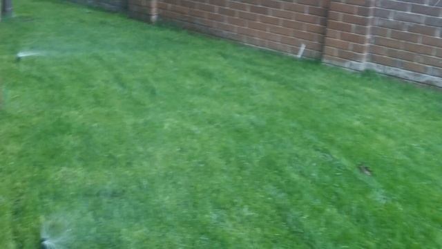 Консервация полив газона и снег