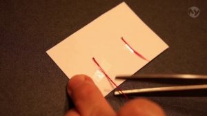 Изонить 01 - Учимся вышивать. Линия. Грибочек