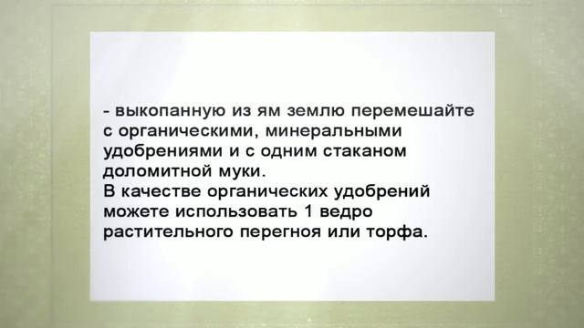 Как посадить калину. Несколько советов смотреть онлайн