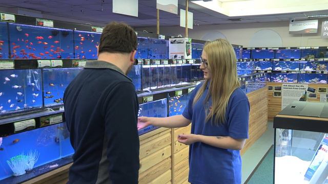 First Time Fishkeeper Episode 2: Planting and Filling Your Aquarium смотреть онлайн