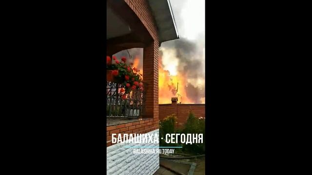 В Балашихе сгорели 3 дома смотреть онлайн