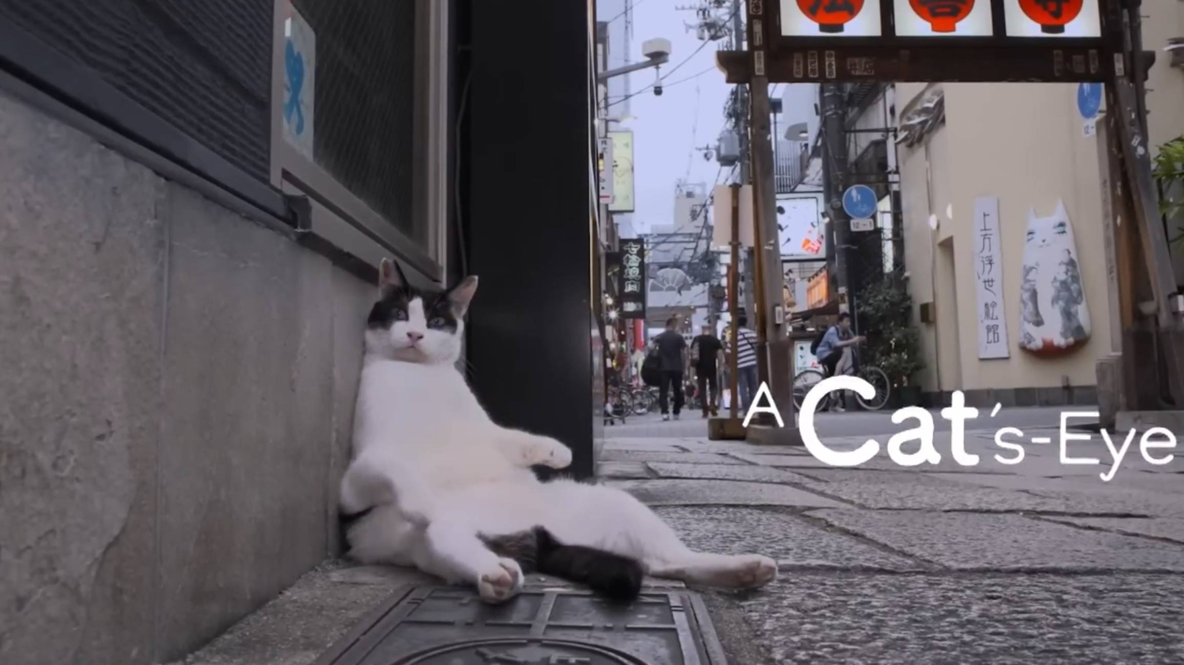 OSAKA - Cats Eye