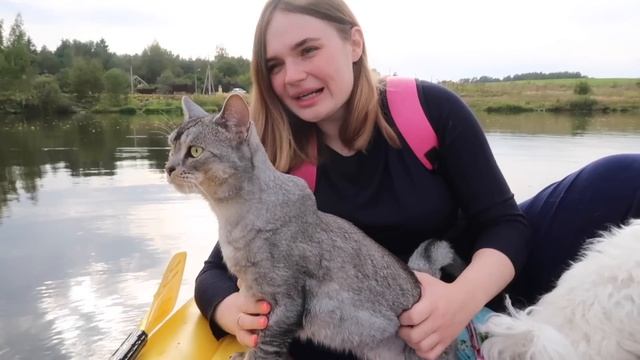 С КОТОМ ВХОД РАЗРЕШЁН! КОТ КЕВИН ПЛАВАЕТ НА ЛОДКЕ! СЛАДУН В ПАНИКЕ! смотреть онлайн