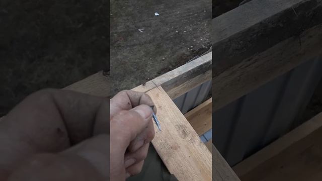 Какие лучше выбрать шурупы для прокрутки профиля к дереву смотреть онлайн