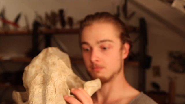 The Biggest Sabertoothed Cat | Amphimchairodus Giganteus | #Skulltalk. смотреть онлайн