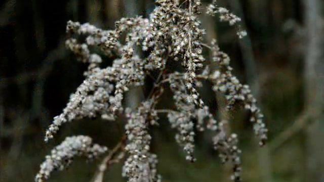 Spring 2012 смотреть онлайн