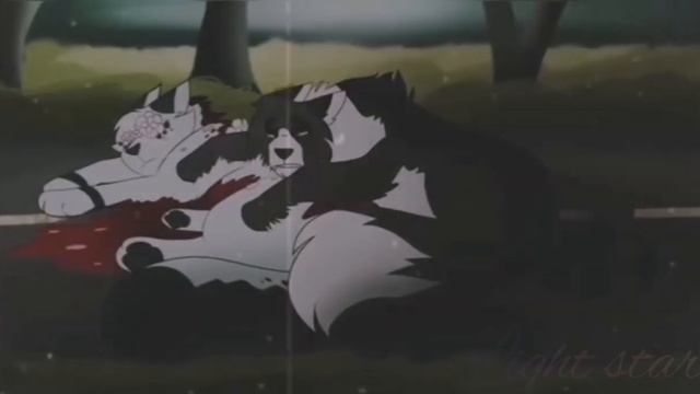 [Коты~Воители]Клип-Lovely смотреть онлайн