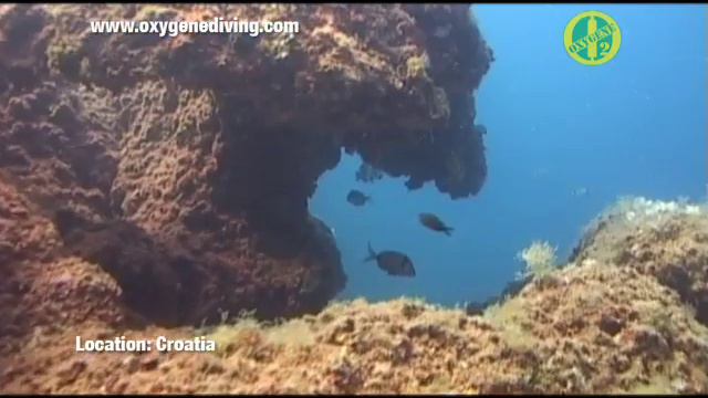 Oxygene Croatia смотреть онлайн