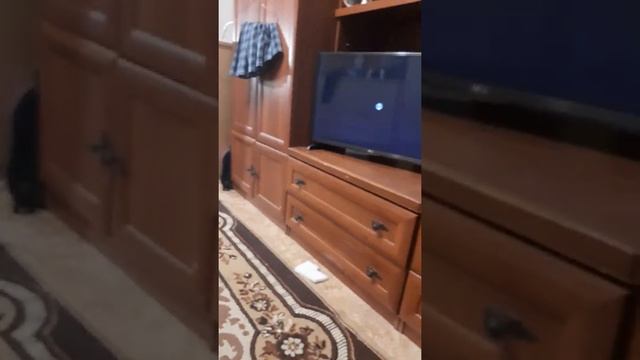 трансляция с телефона на телевизор 2 часть смотреть онлайн