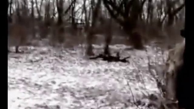 Abbath Black Metal- Потеряный блэкер (Арт по теме КРАБ-ХОДА) смотреть онлайн