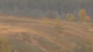 Борисовка = Белгород