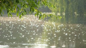 Звук дождя и успокаивающая музыка для сна,сон,бессонница,музыка для глубокого сна,медитация