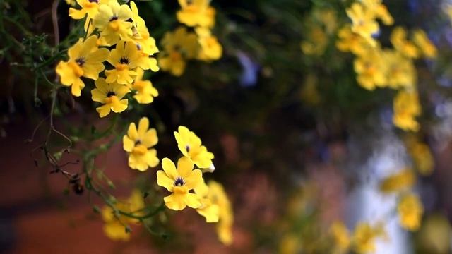 4 марта - Сложный день. Выстраиваем свою дорогу удачи | Лунный Календарь смотреть онлайн