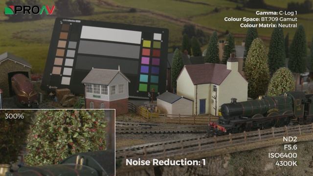 Canon C300mk2 - Internal Noise Reduction Test смотреть онлайн