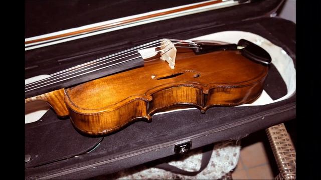 The Sound Of A Warm Hand-made French 5-string Viola