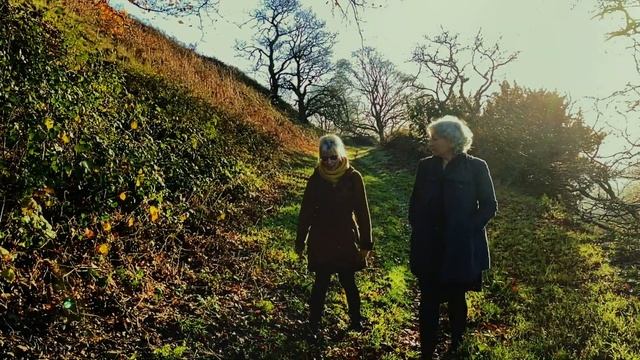 Mindfulness-Based Stress Reduction MBSR