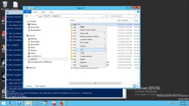 Oracle Apex Installation (Oracle Apex Tutorial-1) смотреть онлайн