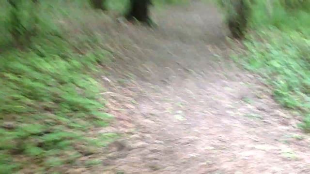 Берёза выдрана из корней!? смотреть онлайн