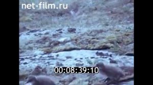 Хождения Ерофея Хабарова, 1983г