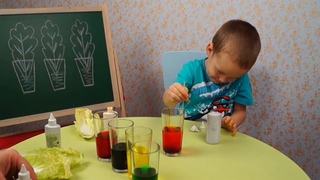 ? ЦВЕТНАЯ КАПУСТА РАЗВИВАЮЩИЙ ОПЫТ DIY ? CAULIFLOWER EXPERIENCE DIY смотреть онлайн