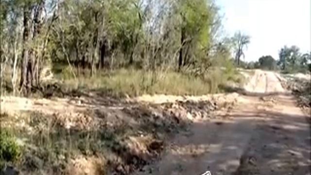 Леопард на охоте/Leopard on the prowl смотреть онлайн