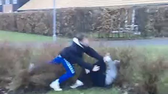CHUMP - Jump The Hedges