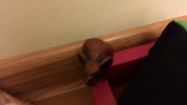 Как сделать комнату своими руками из подручных материалов????♀️ смотреть онлайн