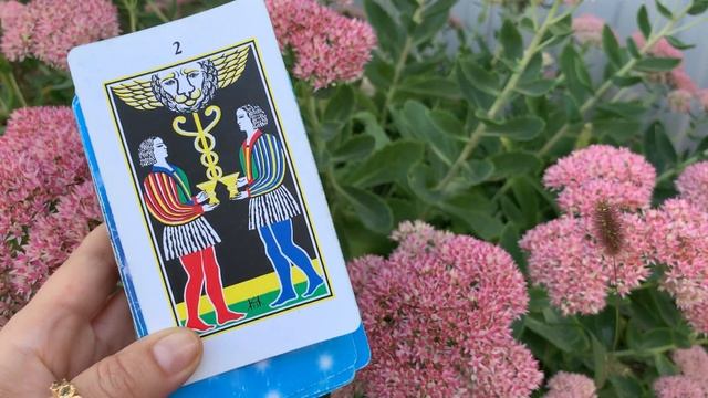 НЕДЕЛЯ? 19 СЕНТЯБРЯ-25 СЕНТЯБРЯ?Таро Прогноз✨ Для ♈️ 0:25 ♉️ 1:56 ♊️ 3:55 ♋️ 5:41 ♌️ 8:16 ♍️ 10:0 смотреть онлайн