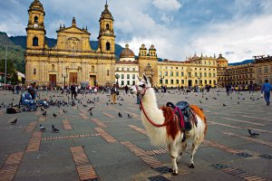«Путешествие в страну, Колумбия!» ИМПРОВИЗАЦИЯ композитор Виктор Анохин #instrumentalmusic #chacha