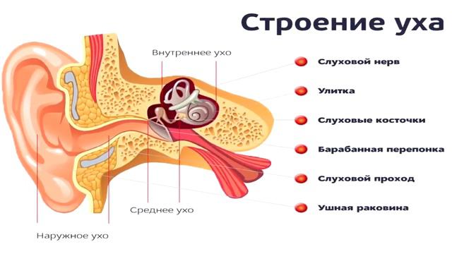 РЕАЛЬНЫЕ ЛЮДИ, которые СДЕЛАЛИ из себя МОНСТРОВ смотреть онлайн