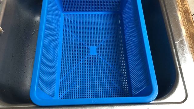 How to prepare wild bird seed grain spawn for mushroom growing. EASY! смотреть онлайн