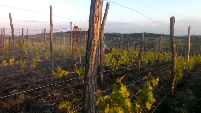 Анонс Опрыскиватель на мотороллере Муравей смотреть онлайн
