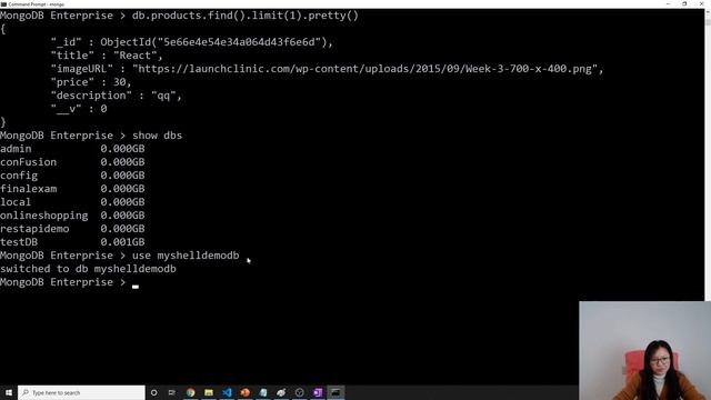 MongoDB - Shell Demo смотреть онлайн