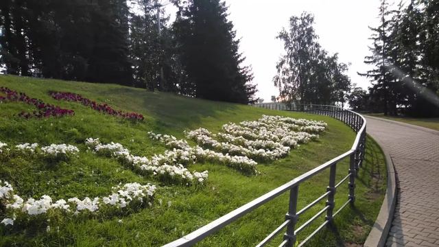 В Красноярске горят леса, режим черного неба или и то и другое смотреть онлайн