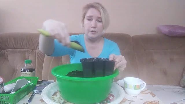 Посев лобелии!!