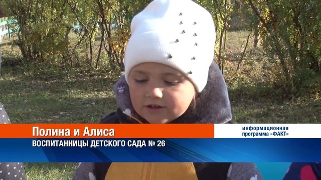 Яркая и солнечная осенняя ярмарка прошла в дошкольных смотреть онлайн