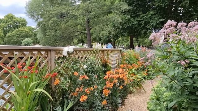 St James's park is the oldest Royal Park in London. Старейший Королевский парк Лондона Сент Джеймс смотреть онлайн