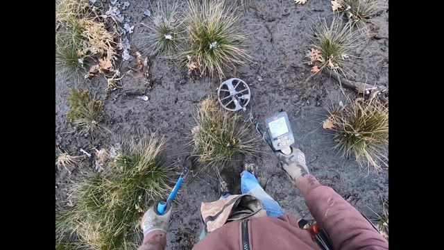 Equinox 800 Metal Detecting Silver and Gold in the Muck! смотреть онлайн