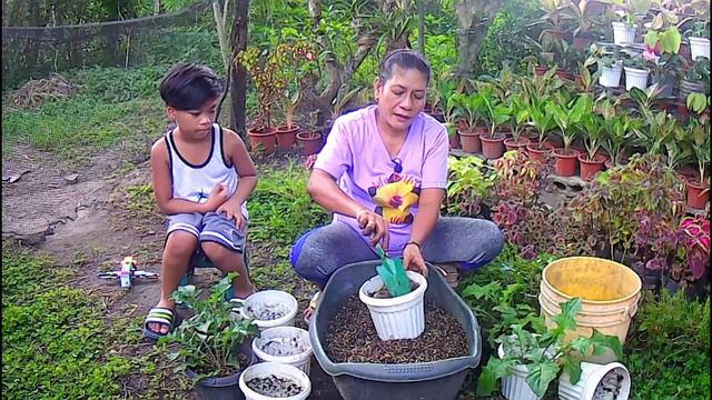 Daisy Care Tips and Repotting ni Tita Beth ang Kuya Brix смотреть онлайн