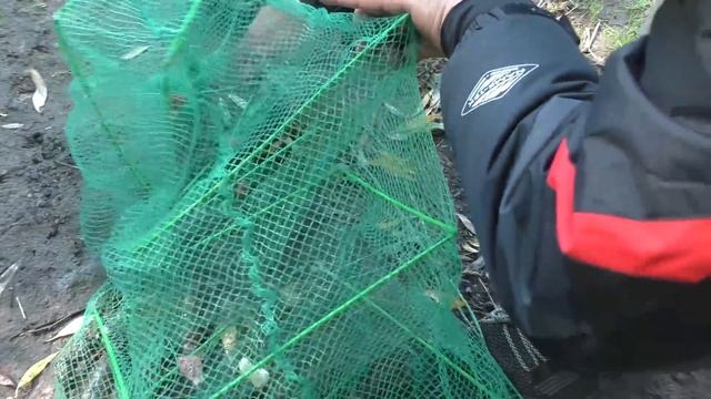 Рыбалка. Октябрь. Ловля раков на сало осенью . My fishing смотреть онлайн