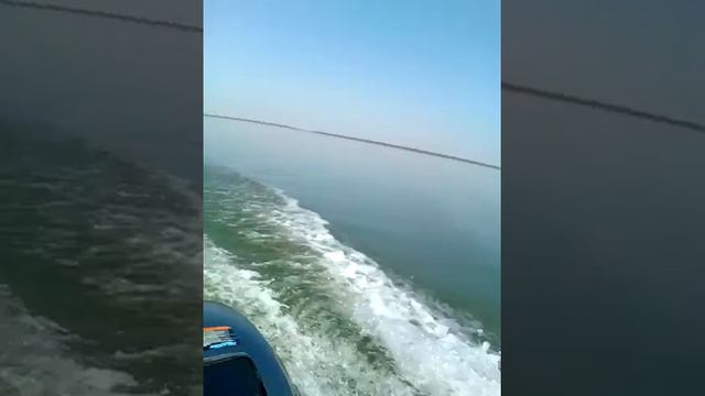 Мотор mikatsu 9.9 на обкатке смотреть онлайн